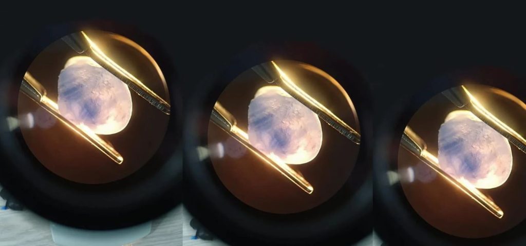 Why Gem Education Matters for Aspiring Professionals